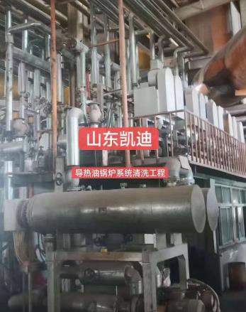 2023年7月9日河北香河25吨导热油锅炉系统整体清洗结束